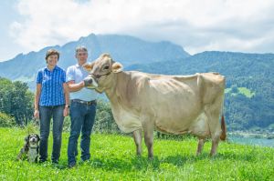LEANDRA CH 120.0762.4790.0 Studhalter Beat BVCH26374